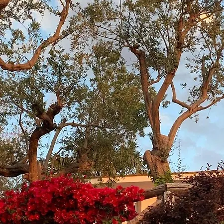 Giovanna 4* Sorrento