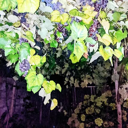 Giovanna 4* Sorrento