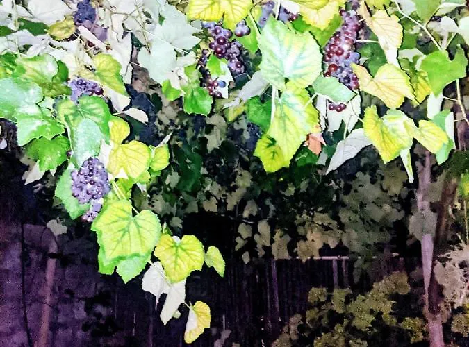 Giovanna 4* Sorrento