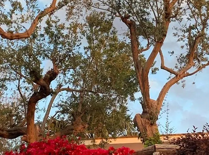 Giovanna 4* סורנטו