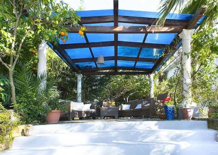 Giovanna סורנטו